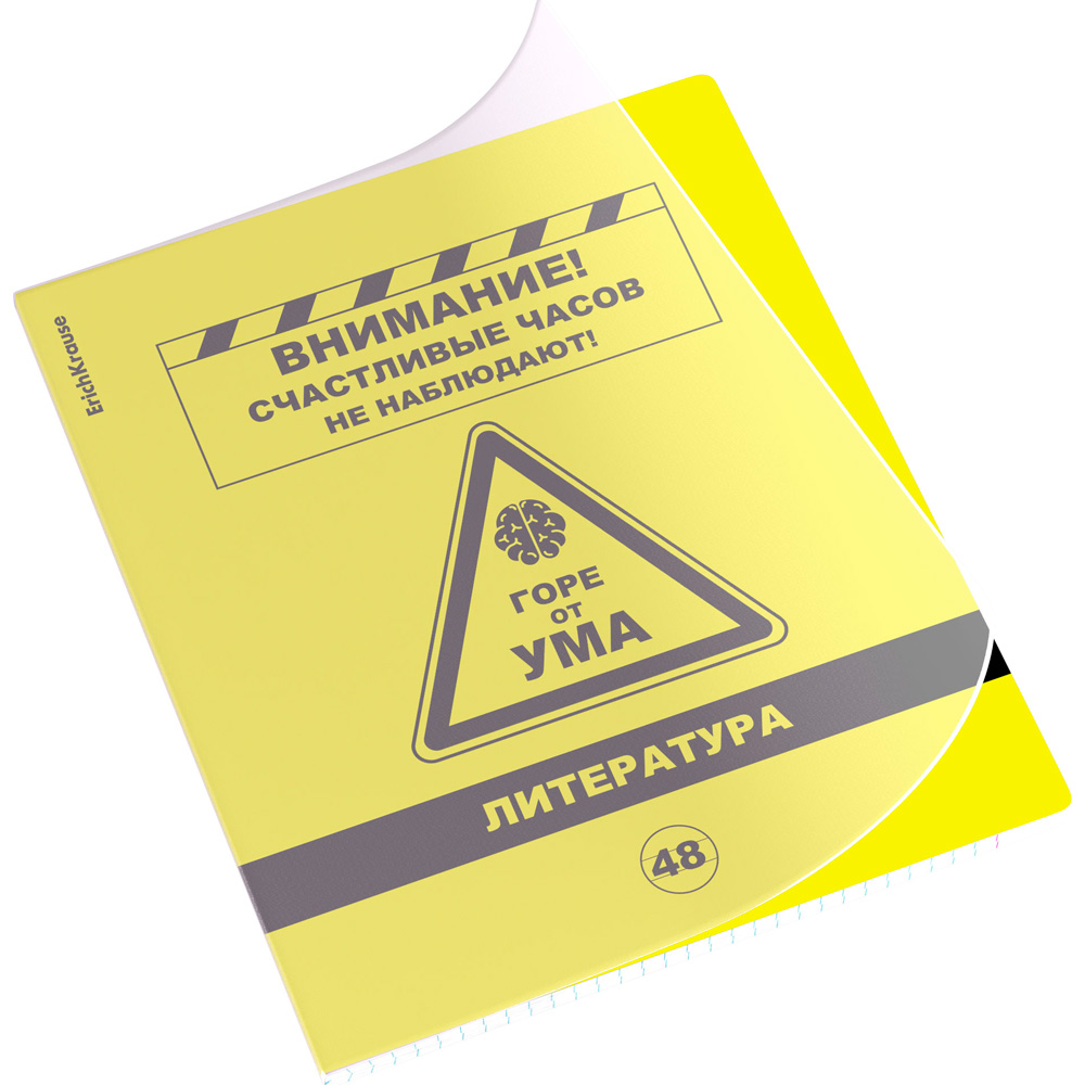 Тетрадь 48 л. линейка Be Informed, Литература 59481 ErichKrause Тетрадь 48 л. линейка Be Informed, Литература 59481 ErichKrause