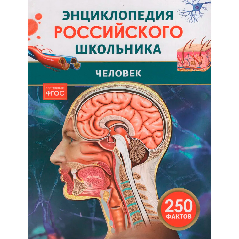 Книга 978-5-353-11012-5 Человек. Энциклопедия российского школьника