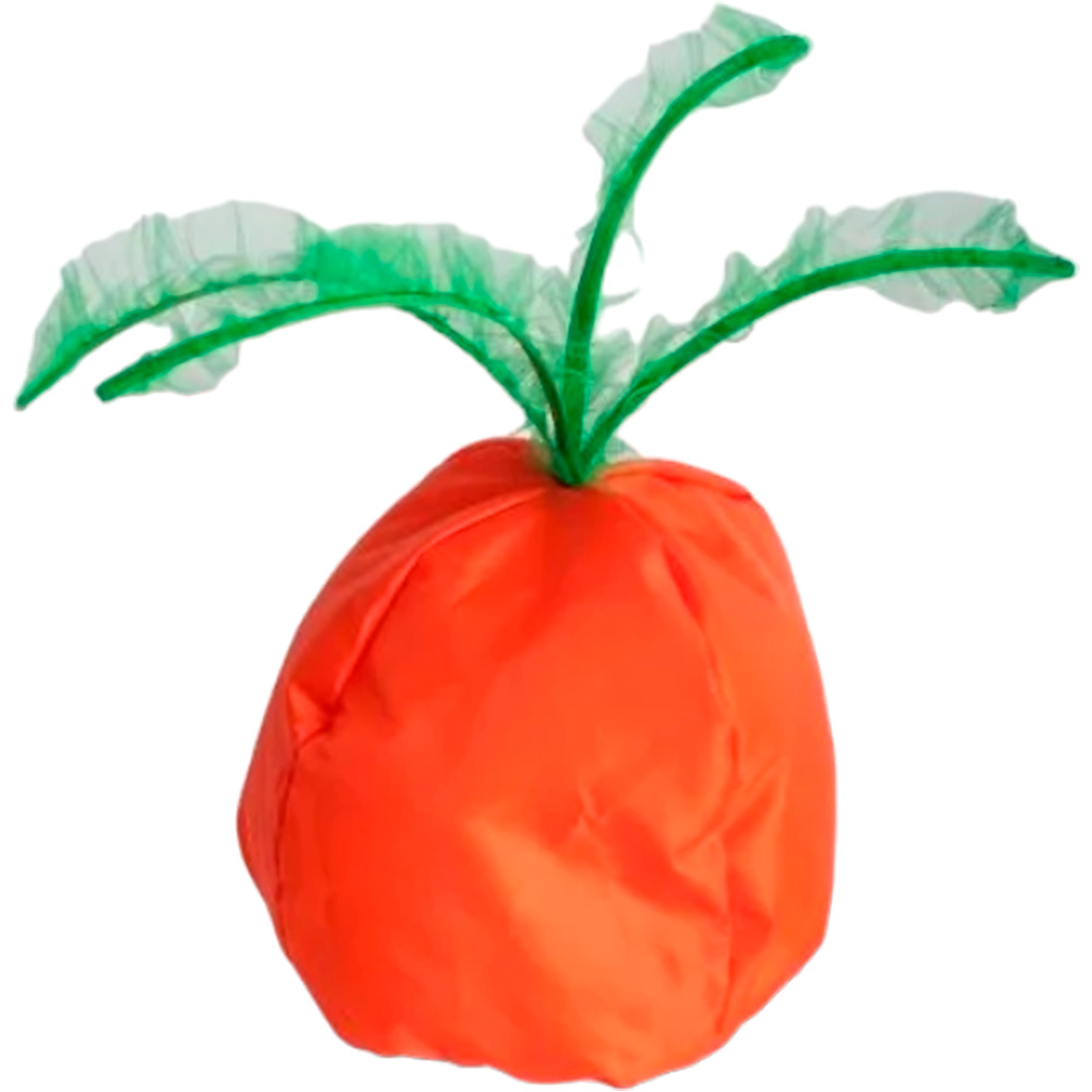 Шапка Овощ : морковь 4603732285620