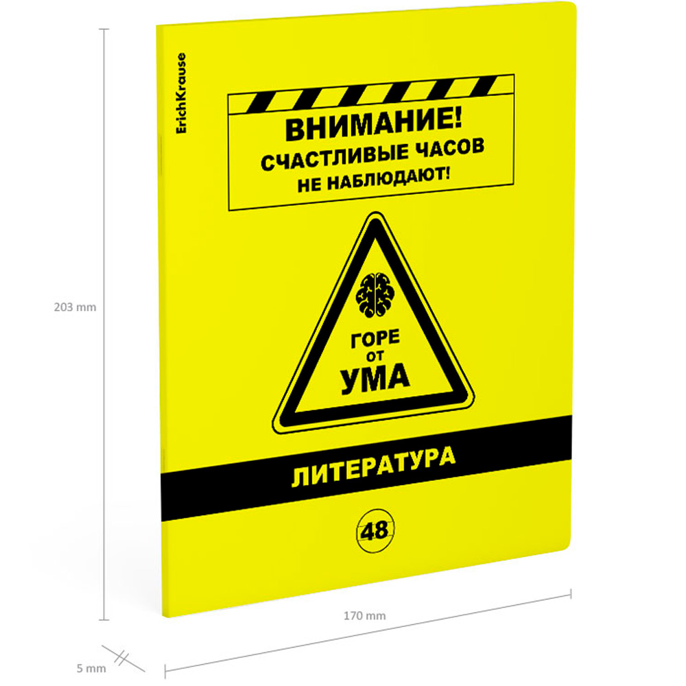 Тетрадь 48 л. линейка Be Informed, Литература 59481 ErichKrause Тетрадь 48 л. линейка Be Informed, Литература 59481 ErichKrause