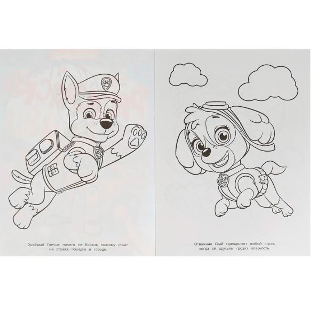 Раскраска 9785506078722 Команда мечты. Щенячий Патруль. Раскраска на ИЗИ /50/ Раскраска 9785506078722 Команда мечты. Щенячий Патруль. Раскраска на ИЗИ /50/