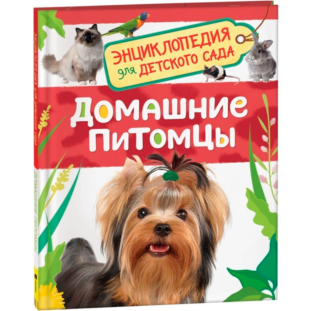 Книга 978-5-353-08477-8 Домашние питомцы. Энциклопедия для детского сада Книга 978-5-353-08477-8 Домашние питомцы. Энциклопедия для детского сада