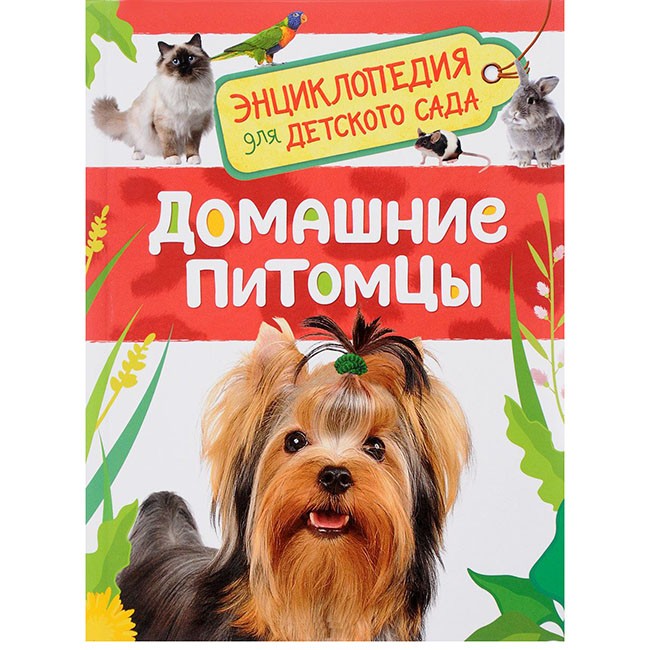 Книга 978-5-353-08477-8 Домашние питомцы. Энциклопедия для детского сада Книга 978-5-353-08477-8 Домашние питомцы. Энциклопедия для детского сада