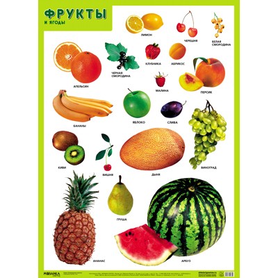 Плакат 978-5-43151-639-9 Фрукты и ягоды