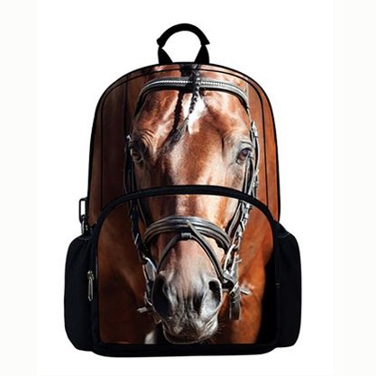 Рюкзак школьный Horse 037095 Hatber Рюкзак школьный Horse 037095 Hatber