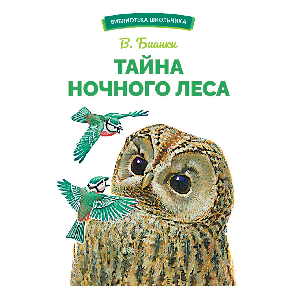 Книга 12155 Тайна ночного леса