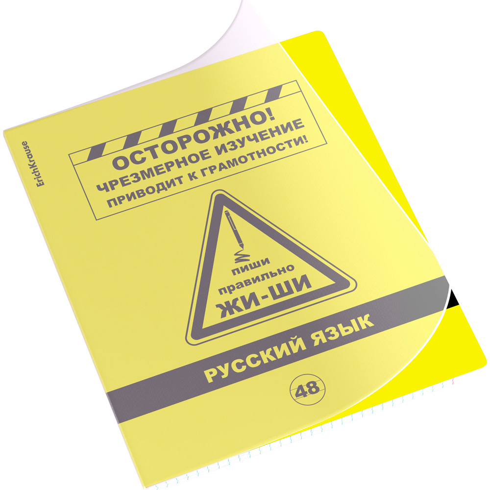 Тетрадь 48 л. линейка Be Informed, Русский язык 59480 ErichKrause Тетрадь 48 л. линейка Be Informed, Русский язык 59480 ErichKrause