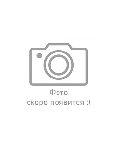 Высокова Т.Б. Высокова Т.Б.